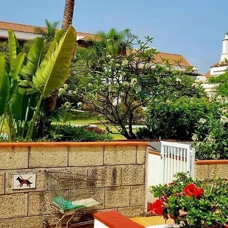 Flordetajinaste Daire *