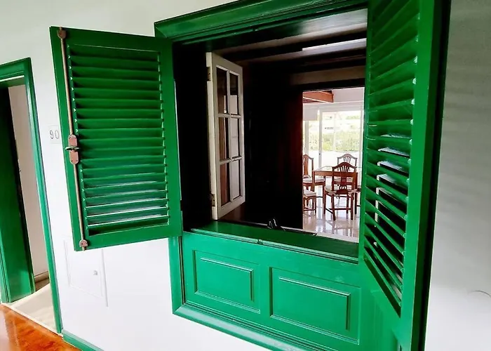 Flordetajinaste Puerto de la Cruz (Tenerife)