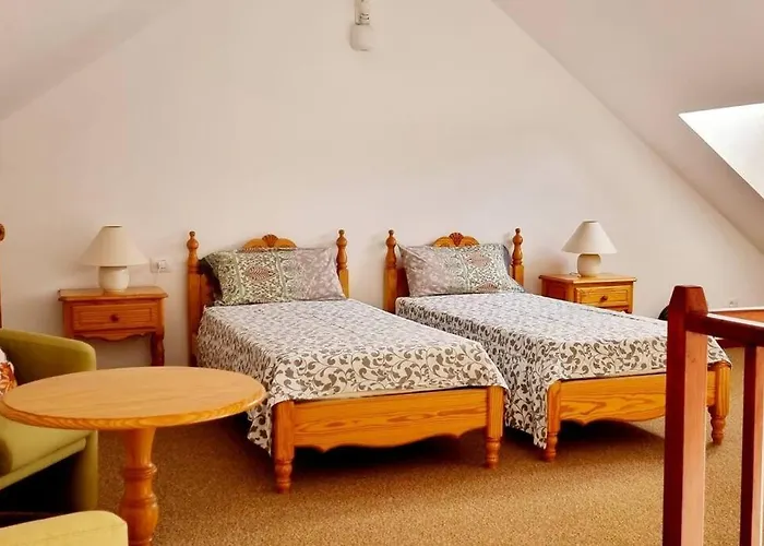 Flordetajinaste Puerto de la Cruz (Tenerife)